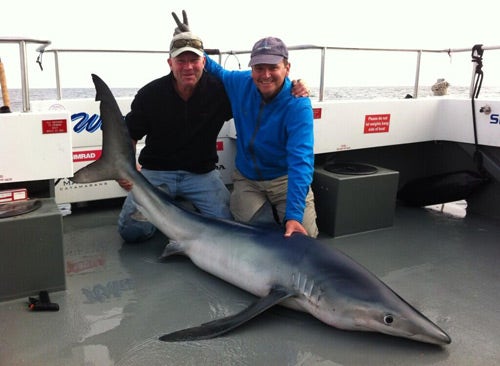 Allan and Duncan with the UK record blue shark!