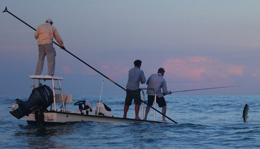 Tarpon at Sunset