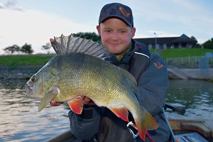 Andy Buckley with a Perch