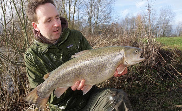 Hobby Lake Trout