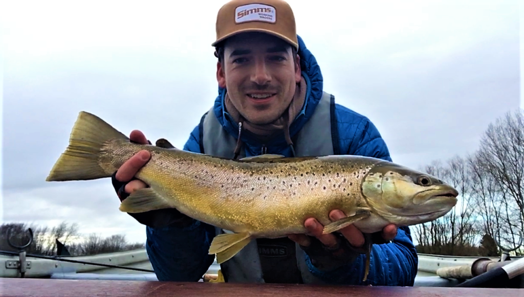 A stunning Rutland brown trout