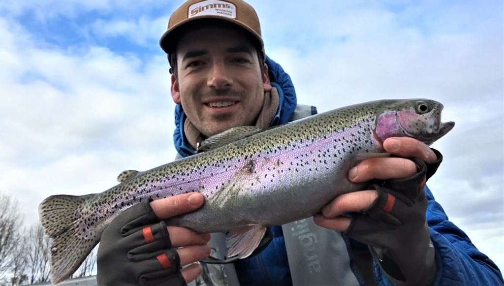 A lovely rainbow trout