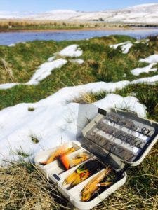 Fly Box in Snow