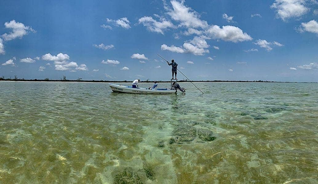 Saltwater Fly Fishing for Beginners