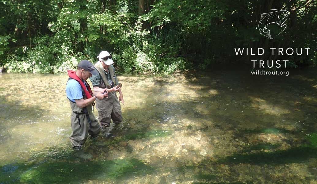 Wild Trout Trust River Projects