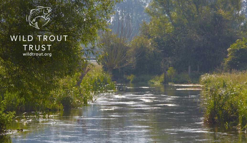 Sportfish Supports The Wild Trout Trust