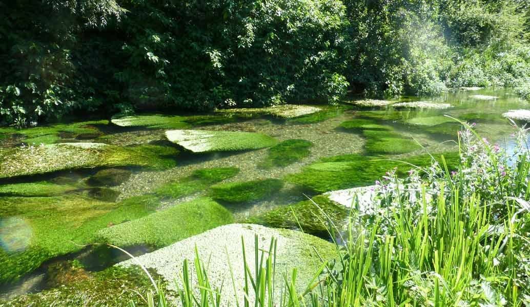 Our Latest Charity Partner, Action For The River Kennet
