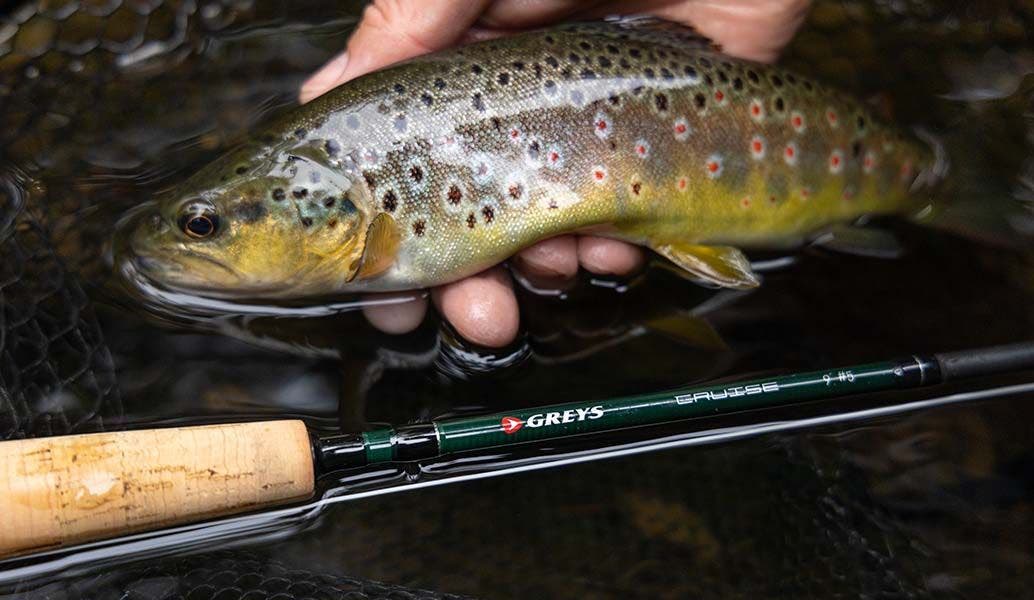 Discover All About Greys Fishing & Their History