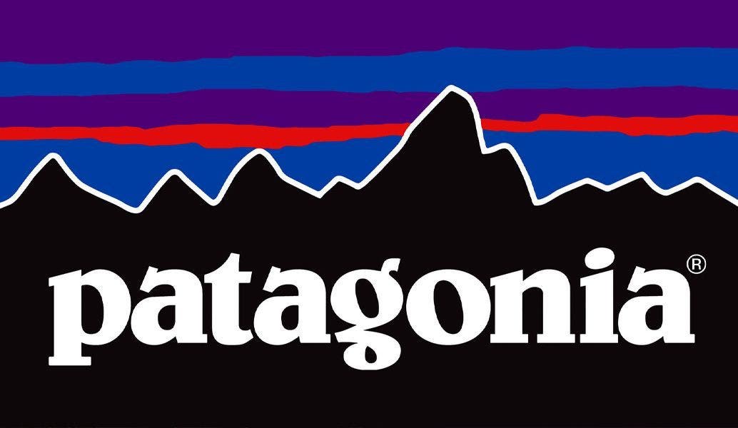 Why Is Patagonia Such a Successful Brand?