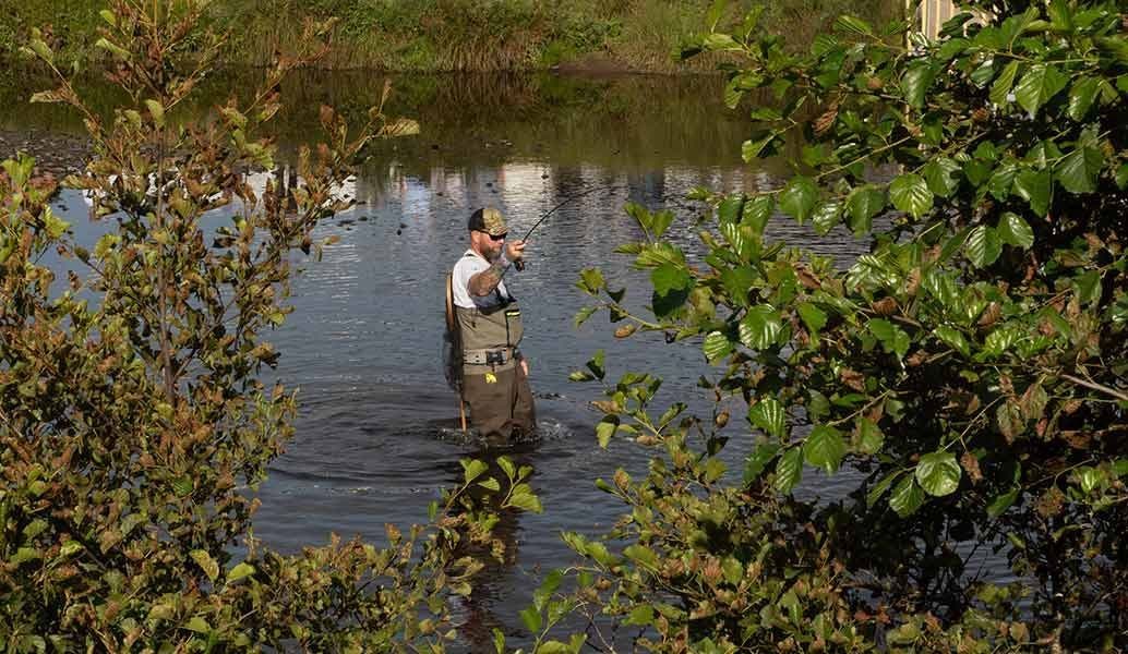 How To Catch Trout