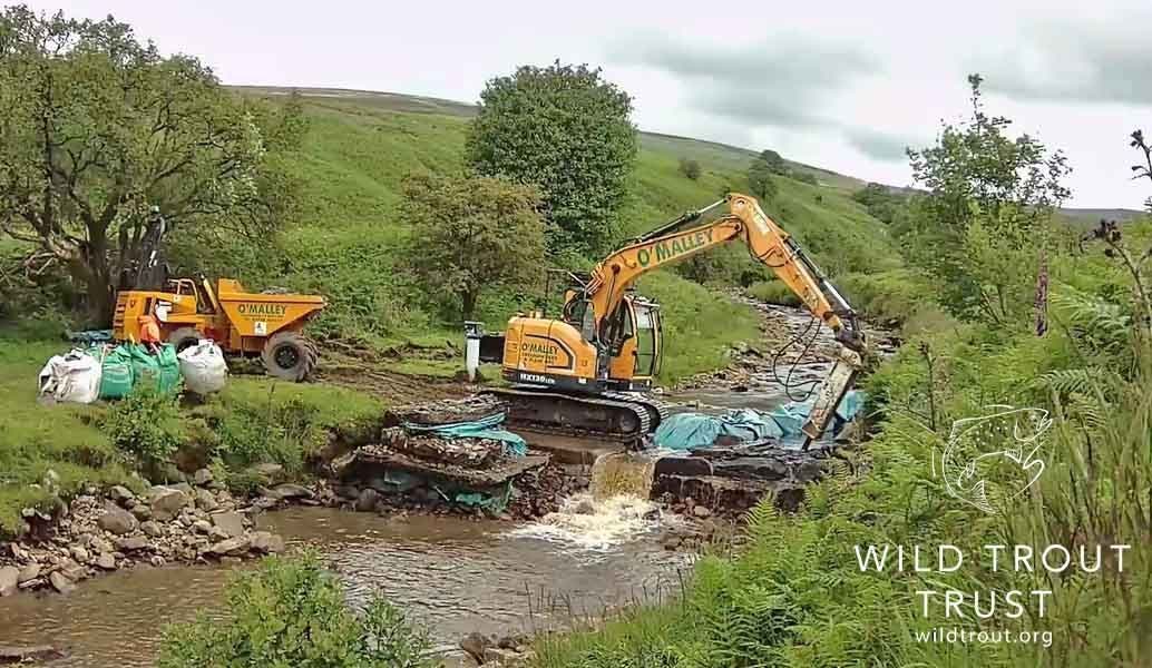 Helping Rivers Flow Freely Again with The Wild Trout Trust
