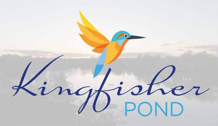 Introducing Kingfisher Pond