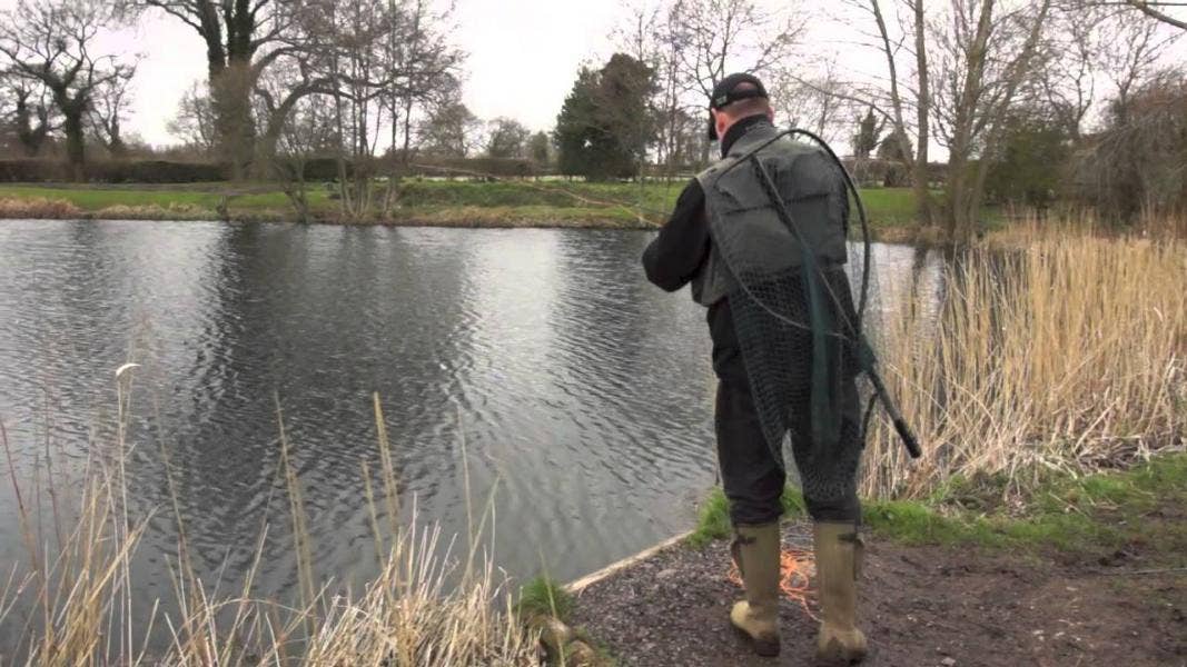 Trout Fishing at Dever Springs with Allan & JT