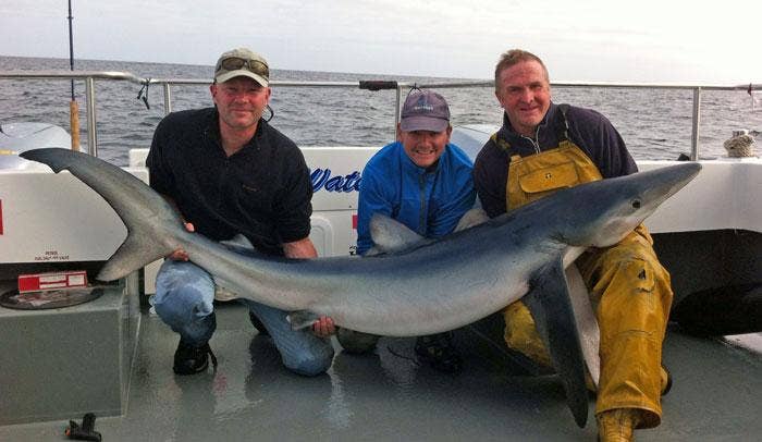 400lb Porbeagle Shark Jigged Up on Spinning Rod! 