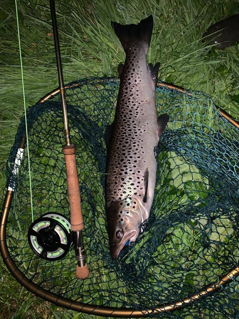 A real photo of McLean Large Catch & Release HD Weigh Fishing Net by Paddy (1)