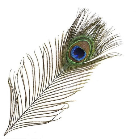 Veniards Peacock Natural Eye