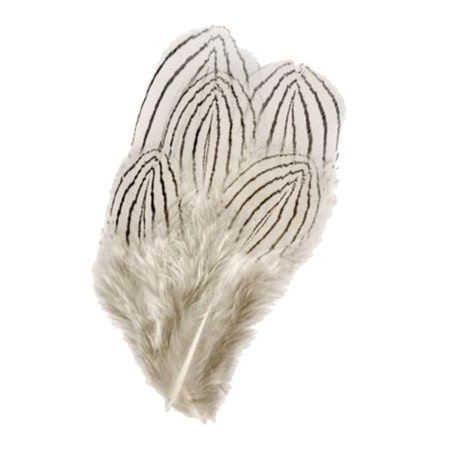 Veniards Silver Pheasant Feathers