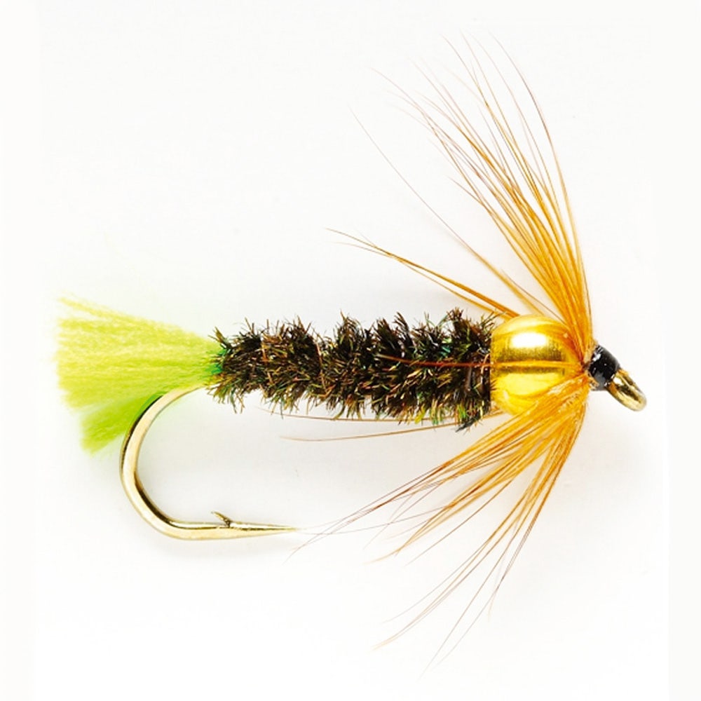 Fulling Mill Green Golden Nugget Shrimp