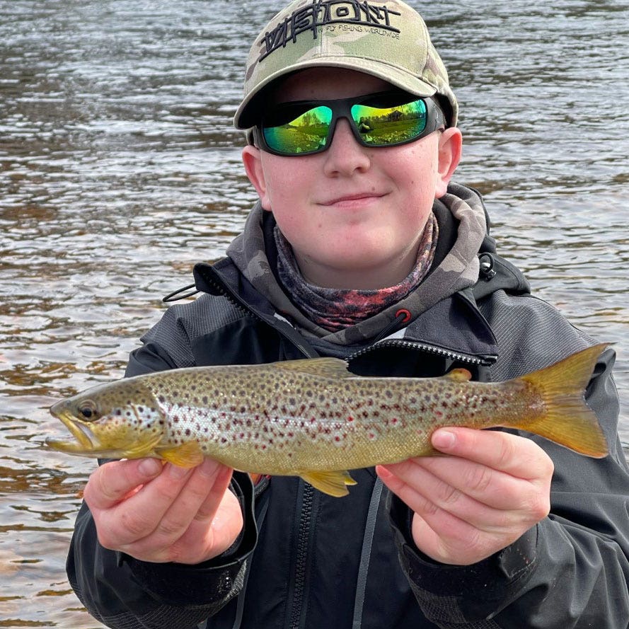 Wild brown trout