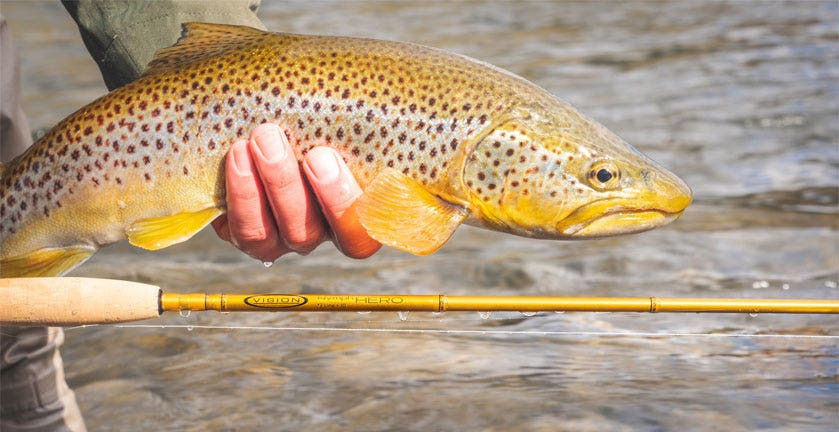 Vision Hero Fly Rods, Vision Trout Fly Rods