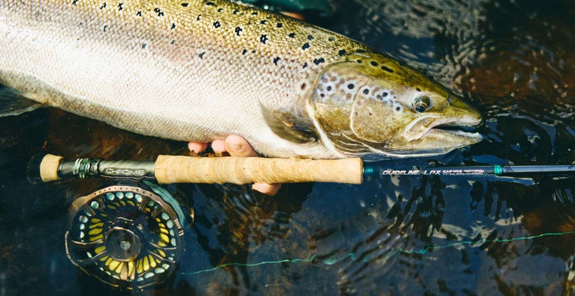 GUIDELINE LPX CHROME FLY RODS