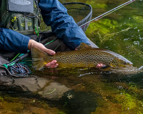 VISION NYMPHMANIAC TWIN TIP FLY ROD