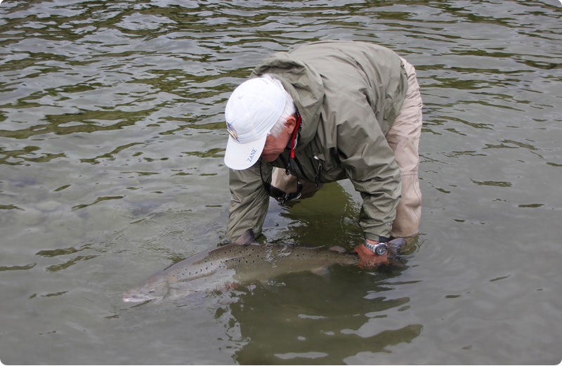 Fishing in Norway