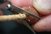 Bottom Bait into a Pop Up - sits flush with the edge of the boilie