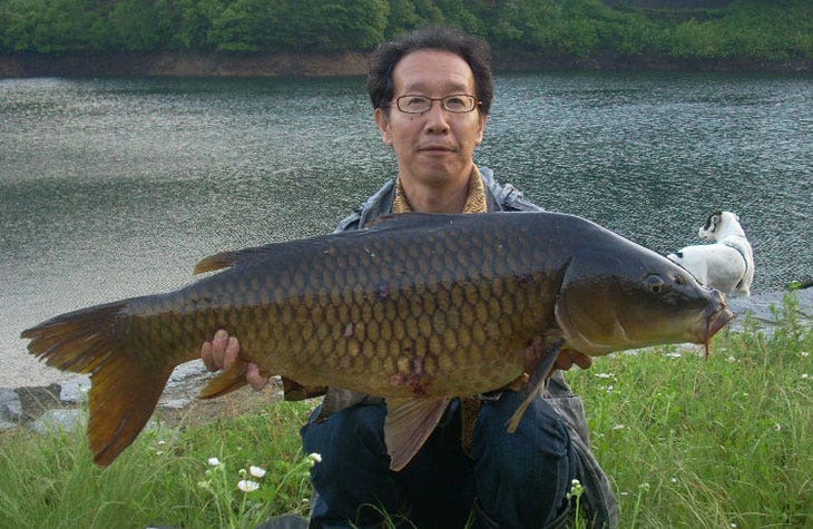 a japanese carp caught on the Maeyama Reservoir, Japan