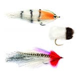 Browse our range of pike & carp flies