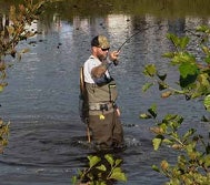 HOW TO CATCH TROUT: TROUT FISHING ADVICE