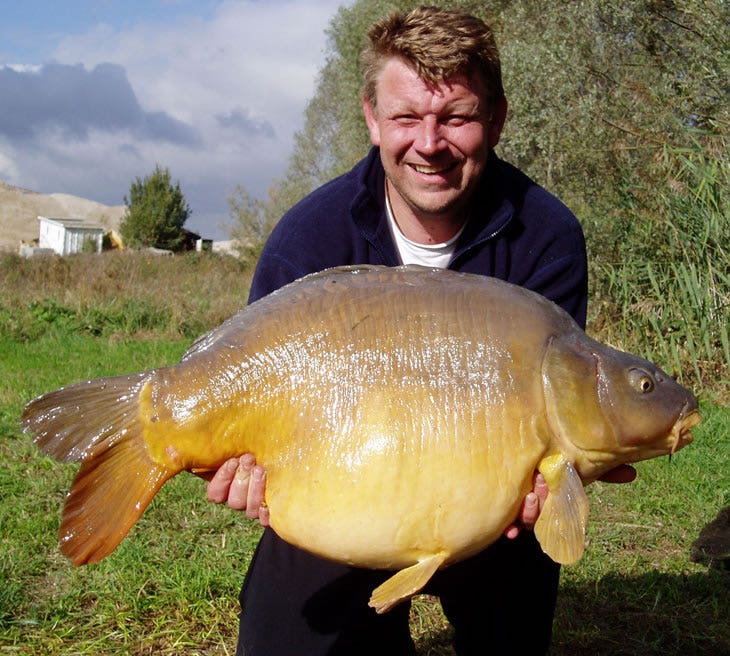 French carping