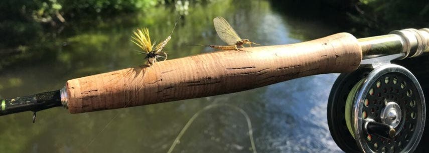 Tackle Up for Mayfly A mayfly imitation fly with a real mayfly, on the butt of a fly rod