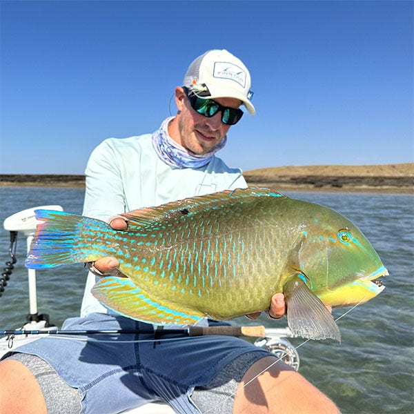 Tropical fish pictured held in boat with blue sky
