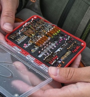 Flies