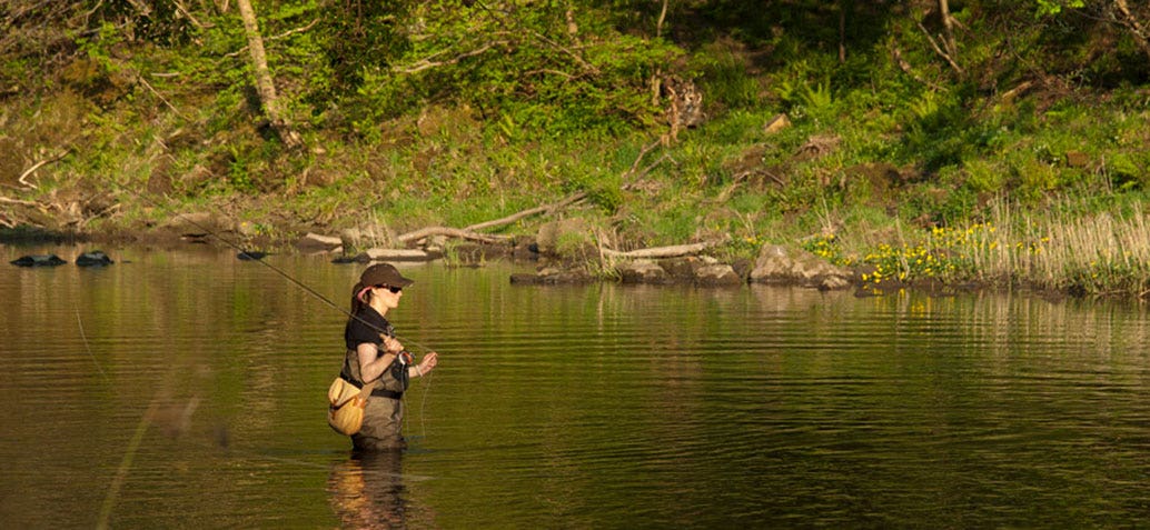 World Rivers Day, Lucy on the River Coquet World Rivers Day, Lucy on the River Coquet