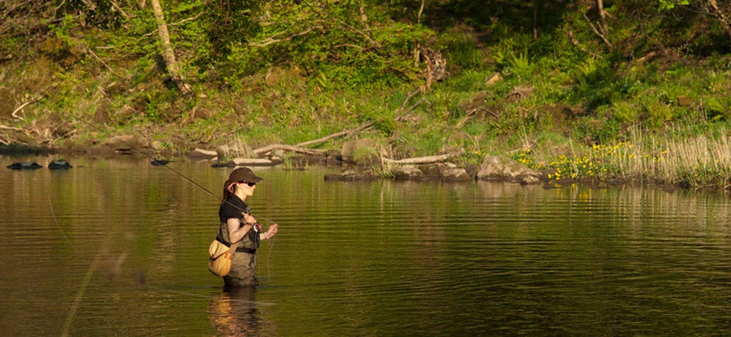 World Rivers Day, Lucy on the River Coquet