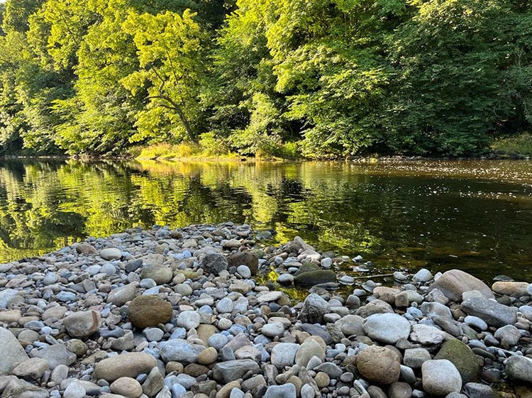 World Rivers Day, Scenic Trout Fishing