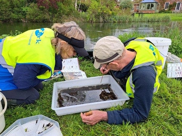 ARK volunteers