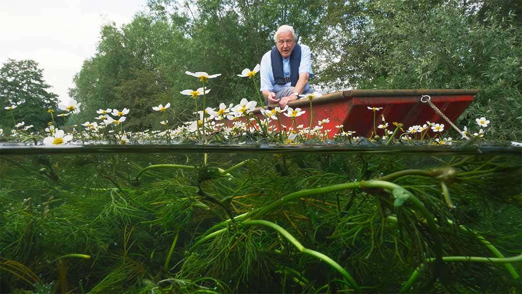 David Attenborough on a chalkstream in Episode 4 of the BBC TV series Wild Isles