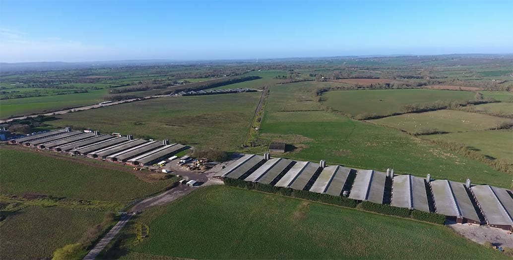 A factory farm in the UK