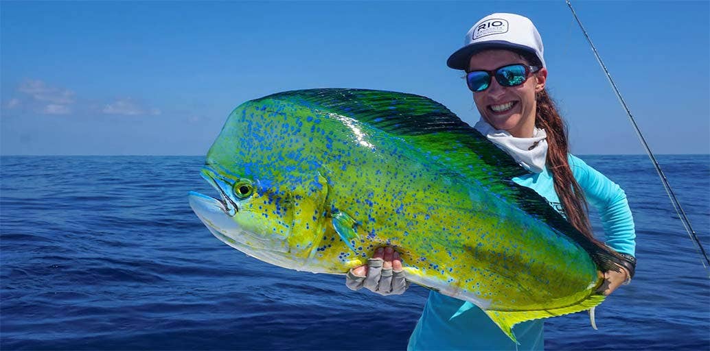 Catch a Mahi Mahi whilst fly fishing