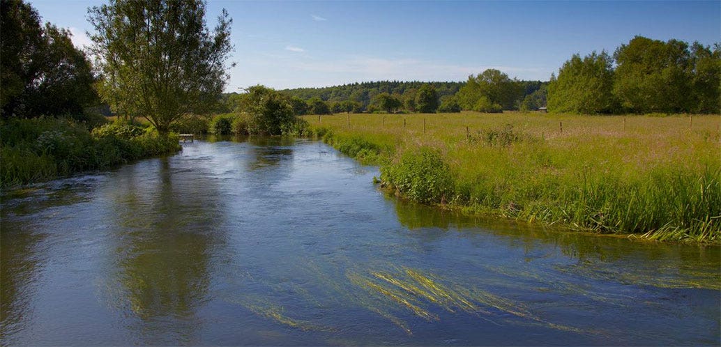 Our chalkstreams