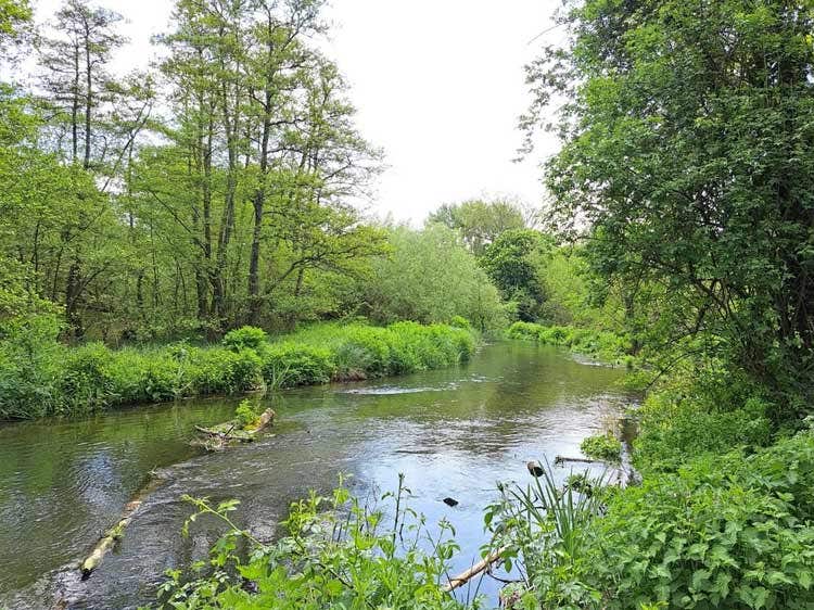 The River Kennet The River Kennet