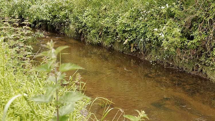 Before - straightened sandy channel