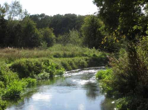 Charles Jardine lot Charles Jardine will cook you lunch and draw you a sketch whilst you fish the River Lambourn near Newbury