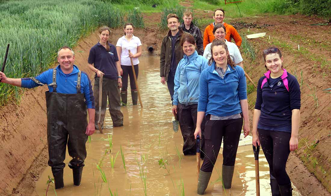 The wetland planting gang A team of 10 people wetland planting for WUF