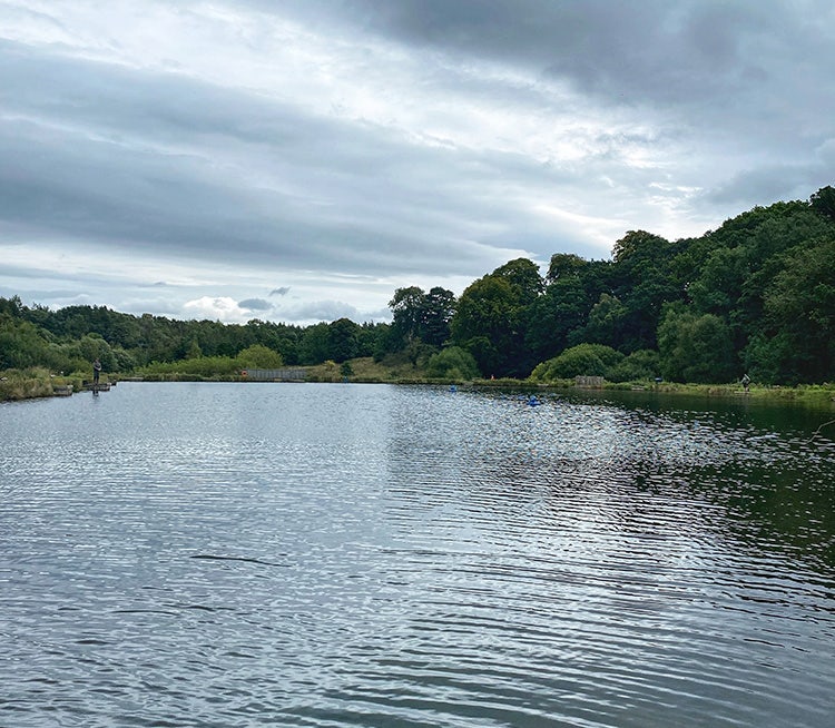 Knitsley Mill Trout Fishery Knitsley Mill Trout Fishery