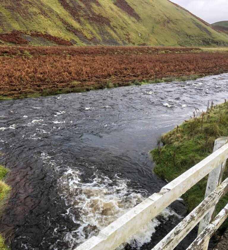 1st ever cast from this bridge gets Hugh a 10lb fish