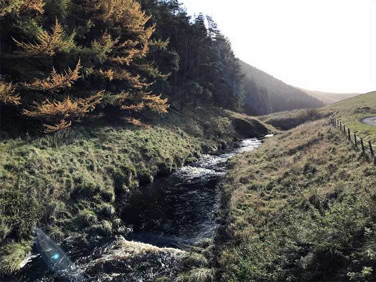 The very upper section of the beat, narrow and fast The very upper section of the beat, narrow and fast